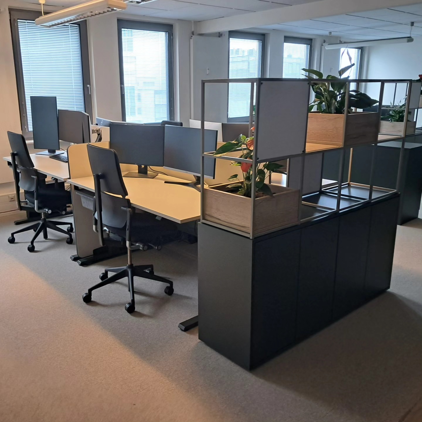 Installed workstations with planter dividers